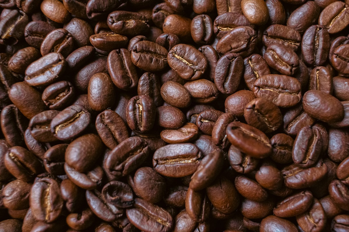 焙煎されたコーヒー豆